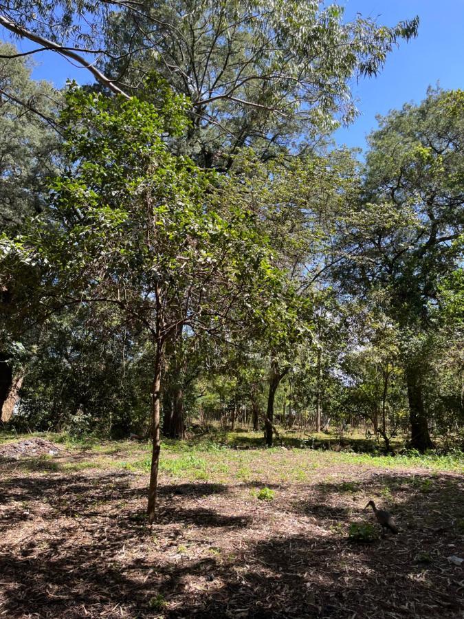 Koselig Homes Nanyuki Eksteriør bilde