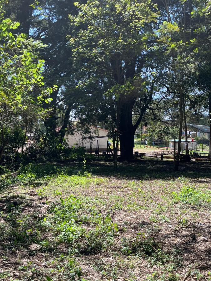 Koselig Homes Nanyuki Eksteriør bilde